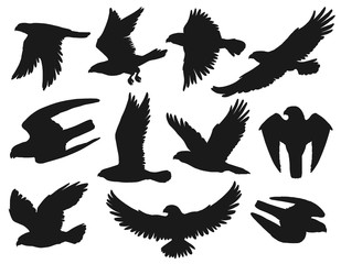 Poster - Eagles and hawks black silhouettes set, vector wild flying birds outspread wings, swoop down to catch prey, hunting. Heraldic eagles with attacking claws, american patriotic symbols, monochrome emblem