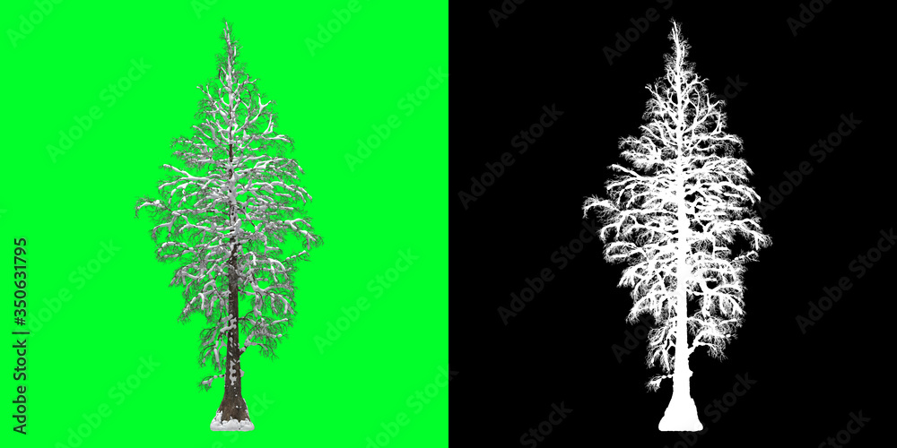 Left View Winter Tree 3D Render PNG Chroma Key Bakcground with Opacity ...