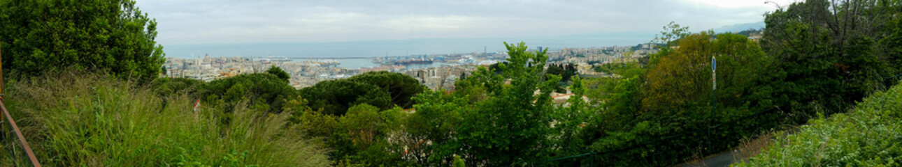 Wall Mural - view of the city of Genoa