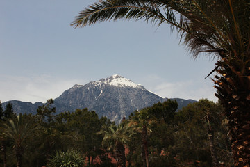 snowy Mountain landscape in bright summer sunny day in Turkey. Amazing view on wild nature with palms