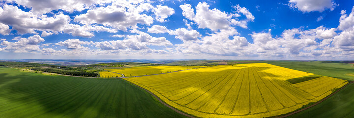 Wall Mural - Amazing aerial panorama from a drone of yellow and green fields, agriculture concept. Countryside farmland.