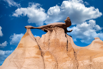 Wall Mural - winged hoodoo bisti de-na-zin wilderness area