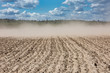 © Mikhail Pankov - wind with dust over dried field after several days without rains