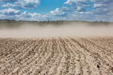 Fototapeta Niebo - wind with dust over dried field after several days without rains