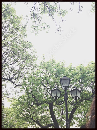 Low Angle View Of Street Lamp In Park