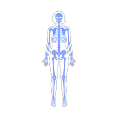 Sticker - Woman skeleton anatomy