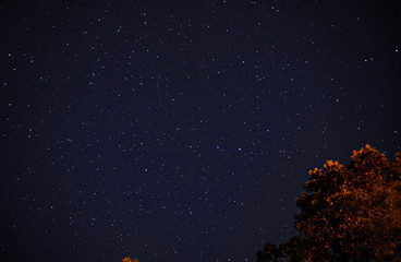 starry night sky