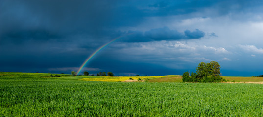 Wall Mural - colorful rainbow against the background of a dangerous, stormy sky over a rural landscape-panorama