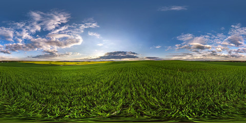 Wall Mural - full seamless spherical hdri panorama 360 degrees angle view on among fields in spring evening with 