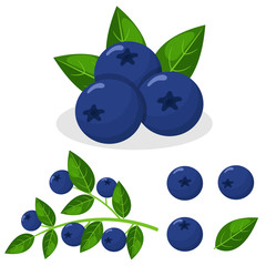 set of fresh bright exotic blueberries isolated on white background. summer fruits for healthy lifes