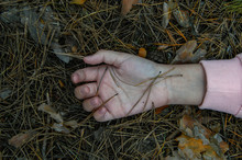 Murder In The Woods.The Hand Of A Dead Teenager In The Forest On The Ground. Victim Of Violence. The Concept Of Child Abuse.