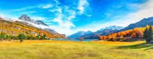 Charming Autumn Scene In Swiss Alps And Views Of Sils Lake (Silsersee).