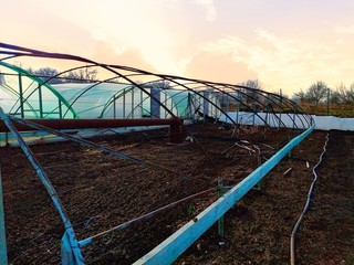 Metal frame greenhouse in the villige at dawn