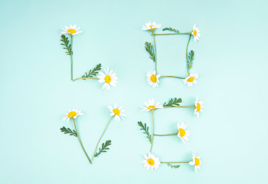 Word LOVE made of chamomile flowers arranged on a light blue background. Minimal Mother's Day flat lay floral composition. Valentine's Day romantic concept.
