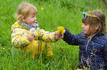 Two siblings play outdoors in nature. Happy childhood and active leisure with health benefits. Children sniffing the flowers. The concept of friendship. The concept of allergy to blooming