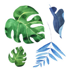 Set of tropical jungle green and blue leaves isolated on white background. Watercolor hand drawing illustration of frond, palm leaf, monstera. Perfect for card, poster, banner. Botanical art.