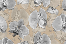 Monochrome Floral Seamless Pattern With Gray Flowers Orchid On Brown Background. Hand Drawn. Vector Stock Illustration.