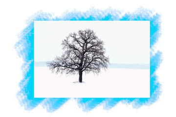 Beautiful lonely tree in winterwithout leaves against sky and winter white snow / 2 tree of 4 trees from the collection 