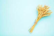 Bunch Spikelets Of Wheat On Blue Background