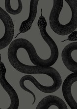 Snake Skin Texture On Gray Background 