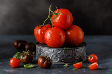 Wall Mural - Fresh tomatoes in a plate on a dark background. Harvesting tomatoes.