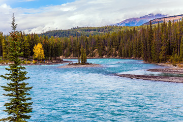 Wall Mural - Large lake among forests