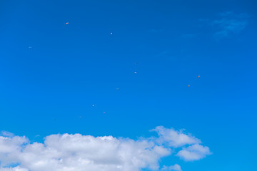 Many paragliders in the blue sky