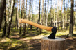 Axe stuck in the stump. Shot of axe cut in a stump on forest background. Sunny summer day. Gathering wood for campfire.
