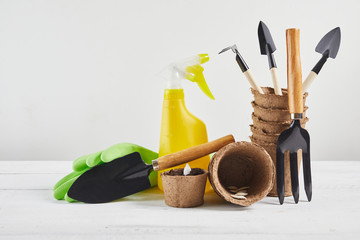 Gardening tools and equipment on white wooden background. Preparing for Seasonal Transplantation of Plant.