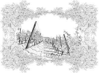 Poster - Landscape with vineyard around of the decorative frame from grapes and vines. Vector illustration hand drawn in sketch style isolated on white