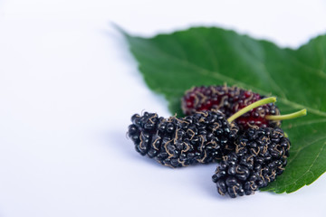 Three organic Mulberry fruits with green leaves isolated on white background.
