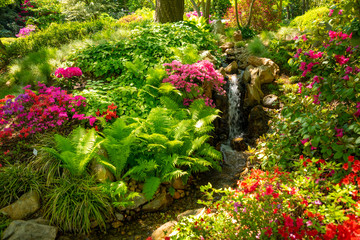 Japanese garden with purple bush in botanic Garden Troja in Prague, Czech republic