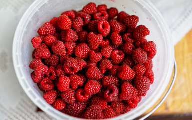 Bucket of fresh raspberries background closeup reflex