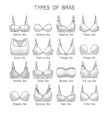 Women's Underwear. Types Of Bras. Set Of White Bras.
