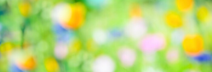 Wall Mural - abstract colorful background with bokeh