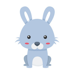 Poster - Cute Bunny Rabbit