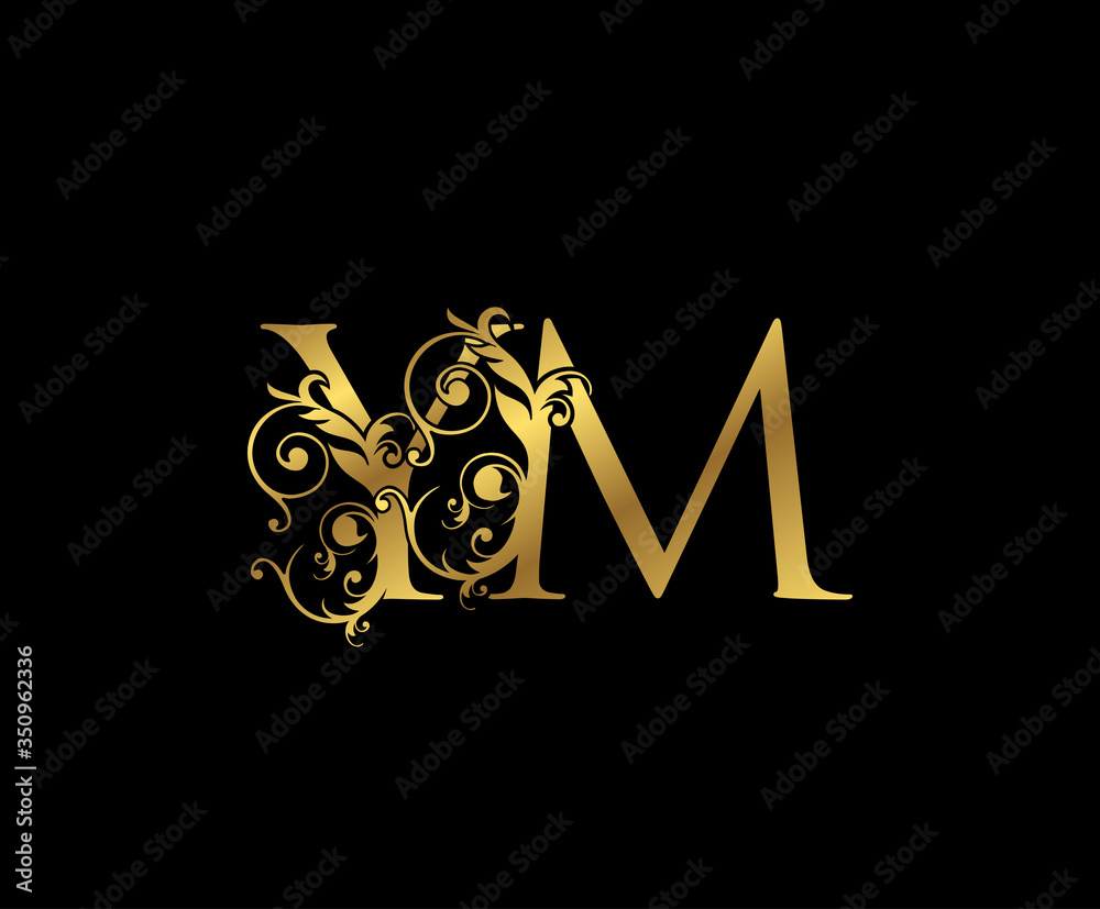 Luxury Gold Y, M and YM Letter Floral logo. Vintage Swirl drawn emblem ...