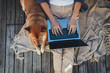 Top-down of young female copywriter typing text on laptop keyboard sitting on wooden terrace with best friend dog, Top view of woman in casual look working remotely from home, Communication concept
