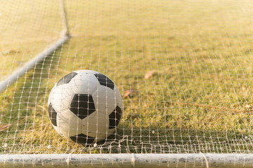 soccer ball in goal net