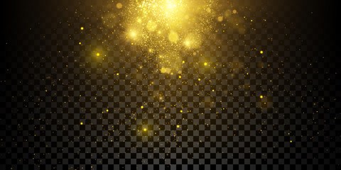 Wall Mural - Sparkling golden particles isolated on dark transparent background