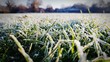 Leinwandbild Motiv Close-up Of Frost On Grass