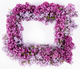 Garland of Lilac flowers on a white background with text space in the middle