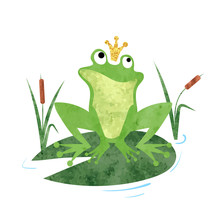 Cartoon Frog Prince Vector Watercolor Illustration.
