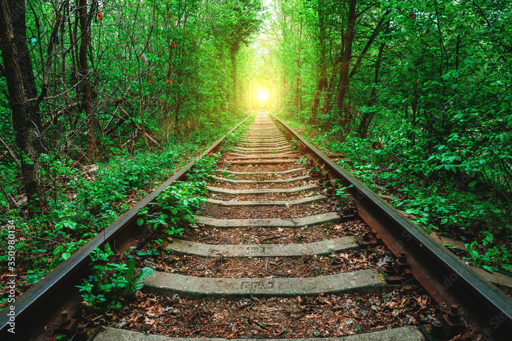 a railway in the spring forest. Tunnel of Love, green trees and the railroad - obrazy, fototapety, plakaty 