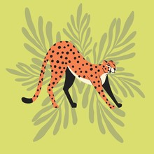 Cute Exotic Wild Big Cat Cheetah Stretching On Mint Green Tropical Background. Flat Vector Illustration