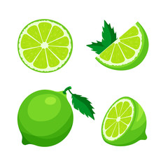 Wall Mural - Set of fresh whole, half, cut slice of lime isolated on white background. Citrus fruit and leaves. Vegan food vector icons in a trendy cartoon style. Healthy food concept.	