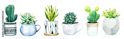 Fotomural Set of six potted cactus plants and succulents