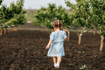 Little anonymous girl with two braids, walking on a dirt ground between peach trees in a garden.