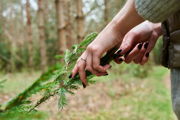 hands of the farmer