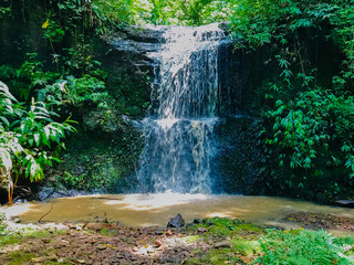 waterfall in the forest